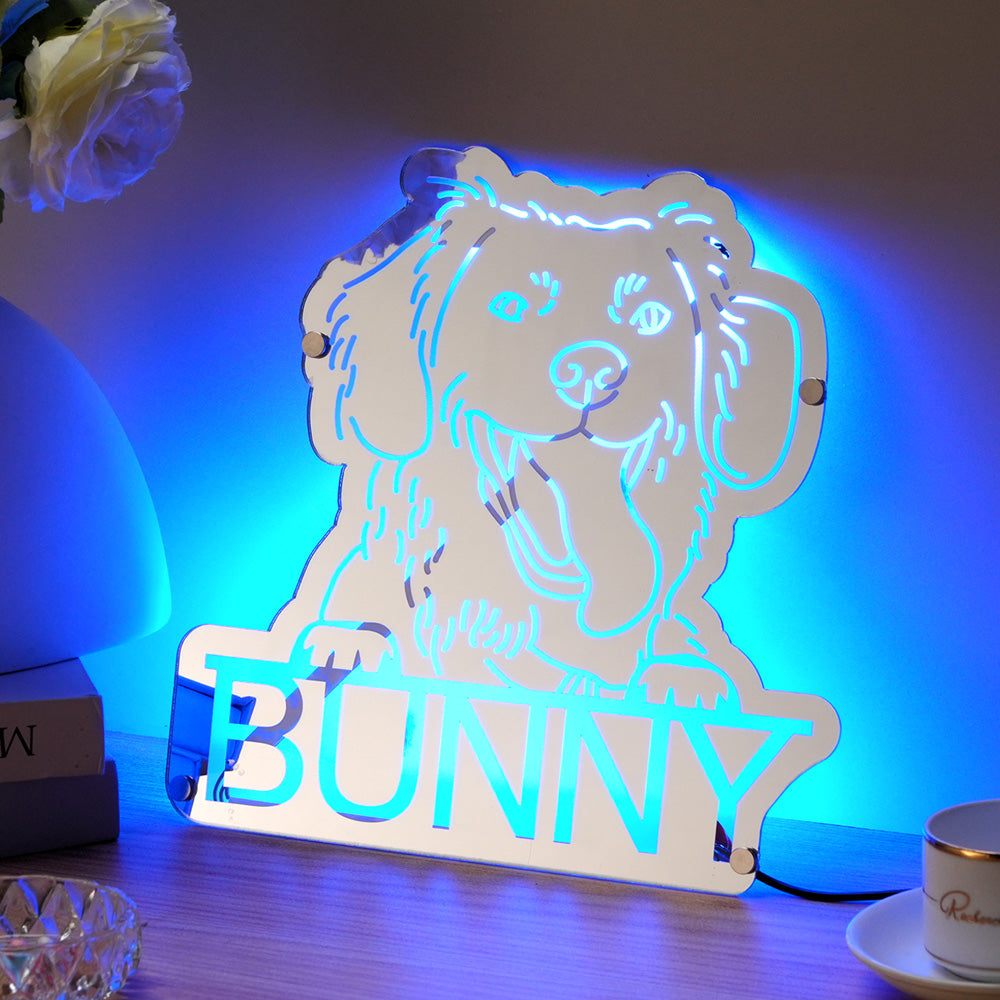 Pet Portrait Mirror Light