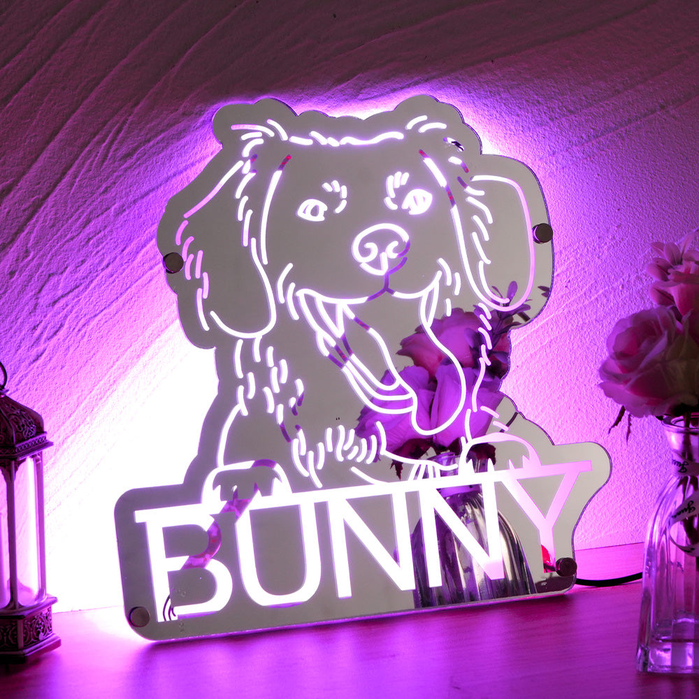 Pet Portrait Mirror Light