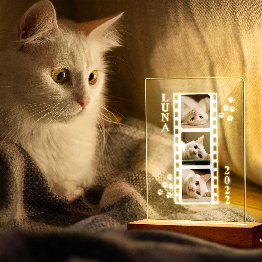 Cat Photo Lamp Acrylic Night Light