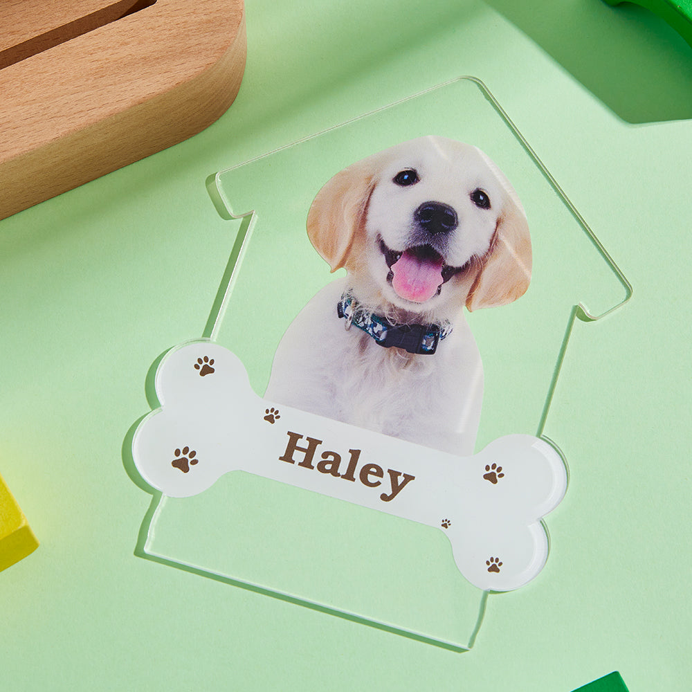 Puppy House Acrylic QR Lamp